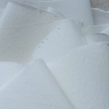 A101 Aldığım Kağıt Havludan Böcek Çıktı