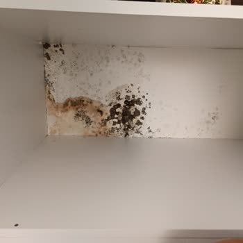 Vestel Yetkili Servis Ve Çalışanlarından Şikayetçiyim