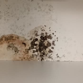 Vestel Yetkili Servis Ve Çalışanlarından Şikayetçiyim