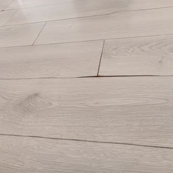 Vestel Yetkili Servis Ve Çalışanlarından Şikayetçiyim