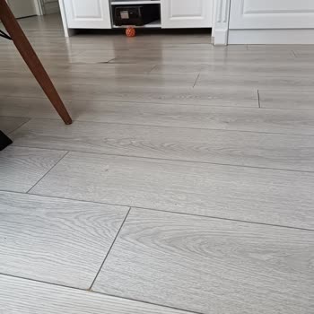 Vestel Yetkili Servis Ve Çalışanlarından Şikayetçiyim