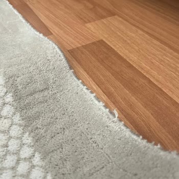 Ege Halı Yıkama (Gebze) Halı Yıkama Hizmetinden Memnuniyetsizlik