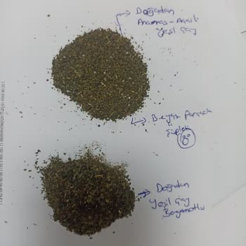 Doğadan Çay İçerisinde Çıkan Tuhaf Madde