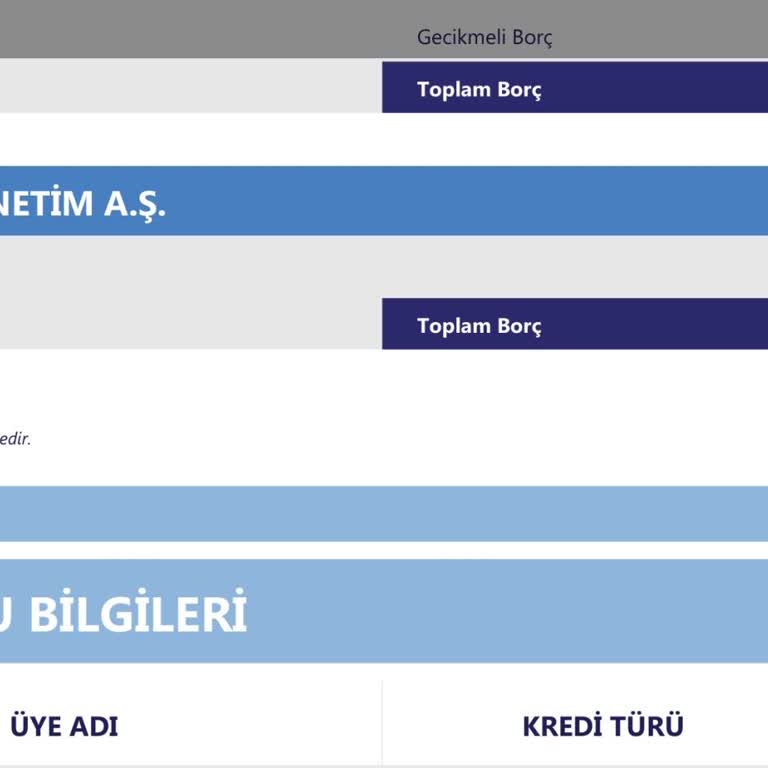 AGS Altın Gezegen Varlık Yönetim Altin Gezegen Varlık Yönetim Şirketi
