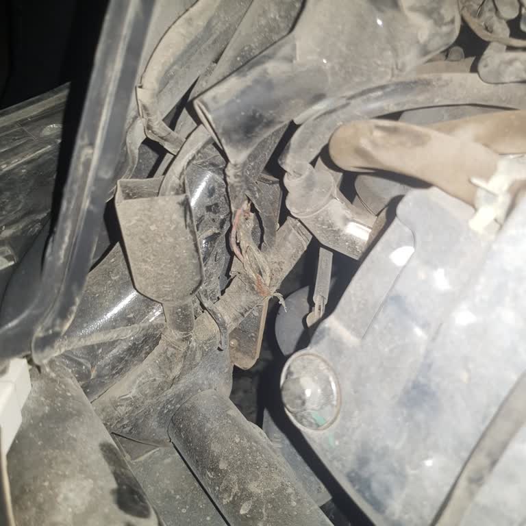 Yeni Aldığım Falcon Guppi110'un Tesisatı Yandı, Servis Kullanıcı Hatası Diyor