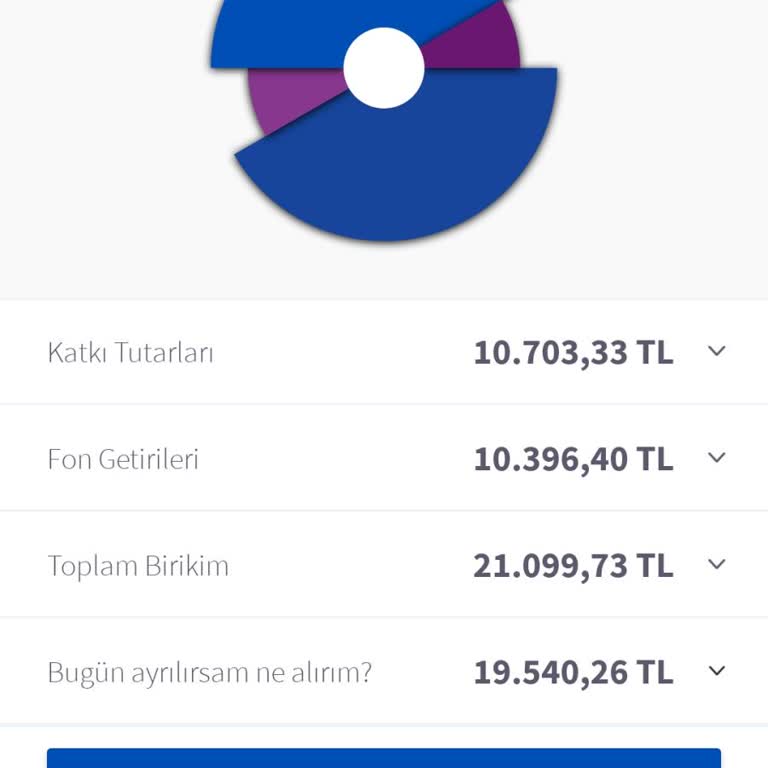AgeSA Hayat ve Emeklilik Yatırımlarımın Değer Kaybetmesi Ve Sürekli Kesintiler