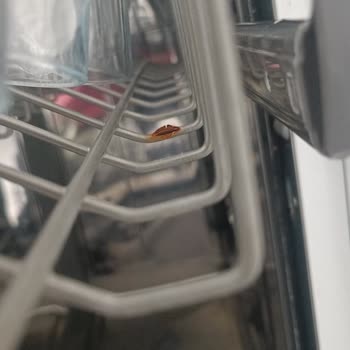 Samsung Bulaşık Makinesi Sepetlerinde Paslanma Sorunu