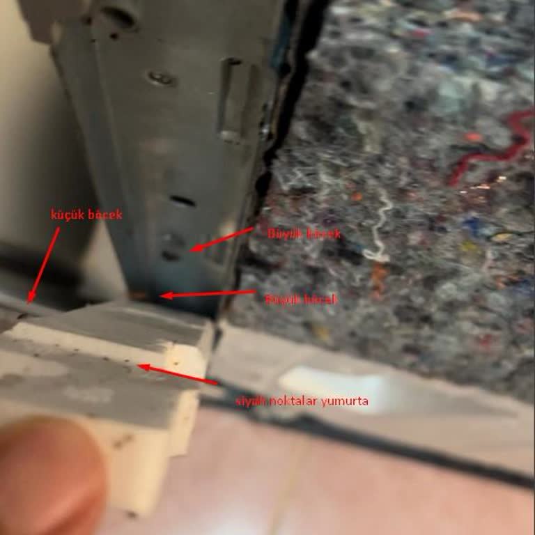 Bulaşık Makinesi Böcek Sorunu ve Yetersiz Servis Hizmeti