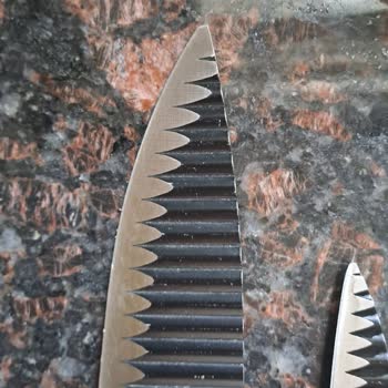 Jumbo Markasının Garanti Kapsamı