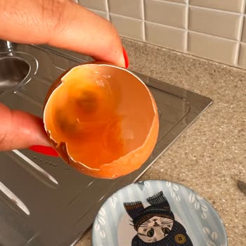 Happy Life Organik Happylife Organik Yumurta Bozuk Küflü