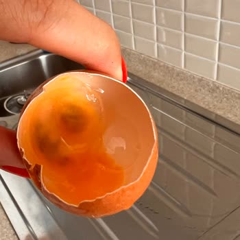 Happy Life Organik Happylife Organik Yumurta Bozuk Küflü