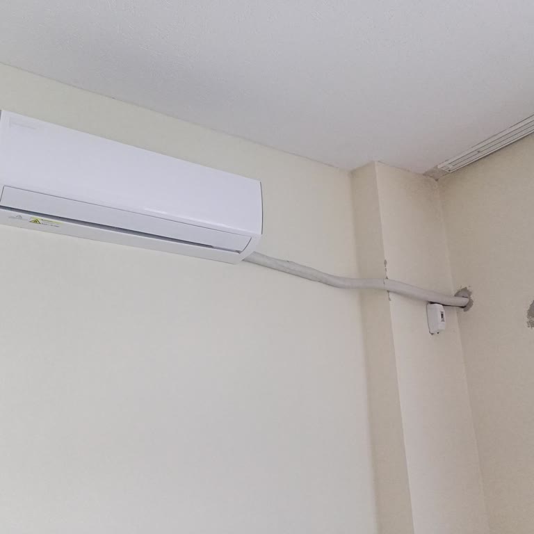 TCL Electronics TCL Klima Hizmet Sorunu