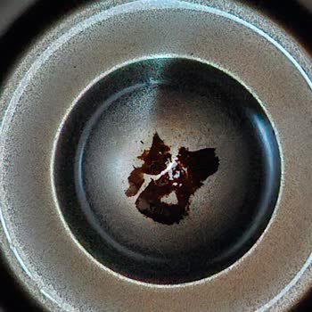 Stanley Termos Paslanma Ve Müşteri Hizmetleri Sorunu