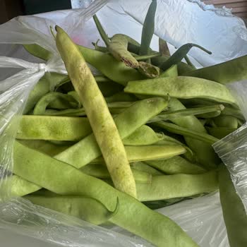 Alanya Migros Sanal Market