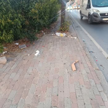Bayrampaşa Belediyesi Bayrampaşa Çevre Temizlik