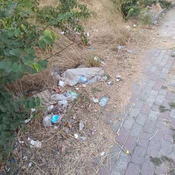 Bayrampaşa Belediyesi Bayrampaşa Çevre Temizlik