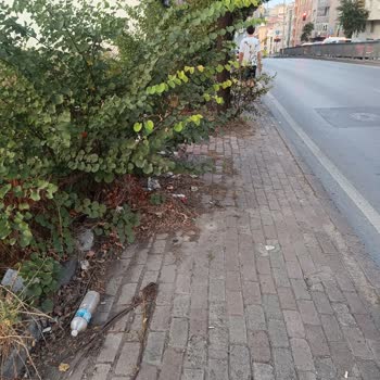 Bayrampaşa Belediyesi Bayrampaşa Çevre Temizlik