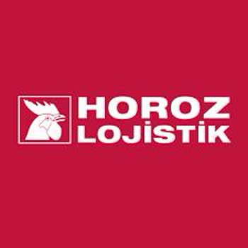 Karabük Horoz Lojistik Küçücük Şehir De Kargoyu Getiremedi