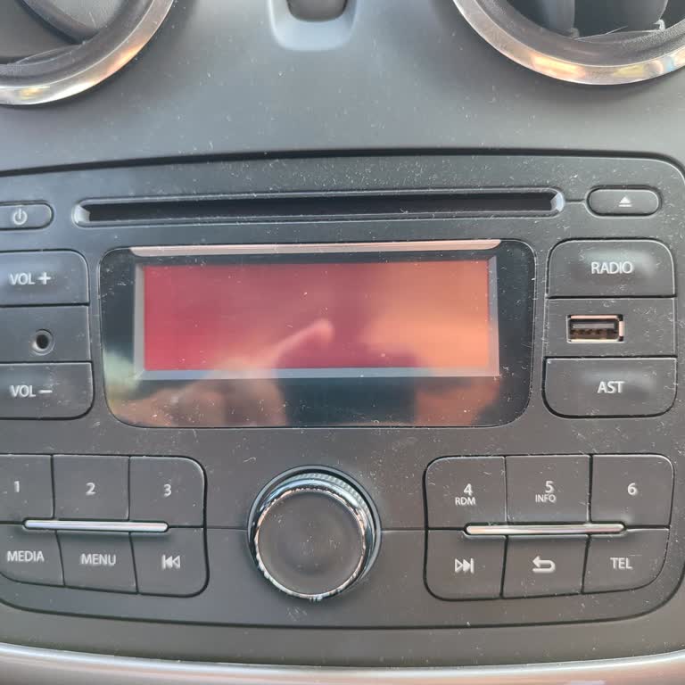 Dacia Sandero Radyo Arızası