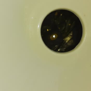 Gardrops Firmasının Duyarsızlığı Ve Mağduriyetim