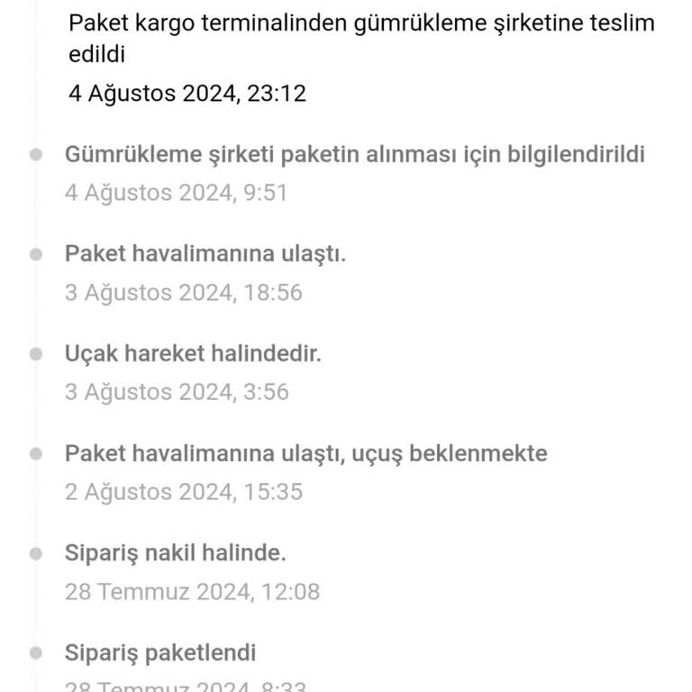 4 Ağustostan Beri Gümrükte! Temu Siparişimi, MNG Kargo Teslim Etmedi!