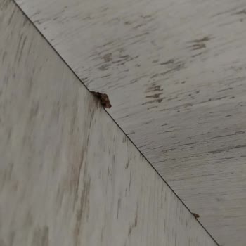 Taşpınar Alışveriş Merkezleri Taşpınar Çorum Şubeden Gelen Gardırop Sorunu