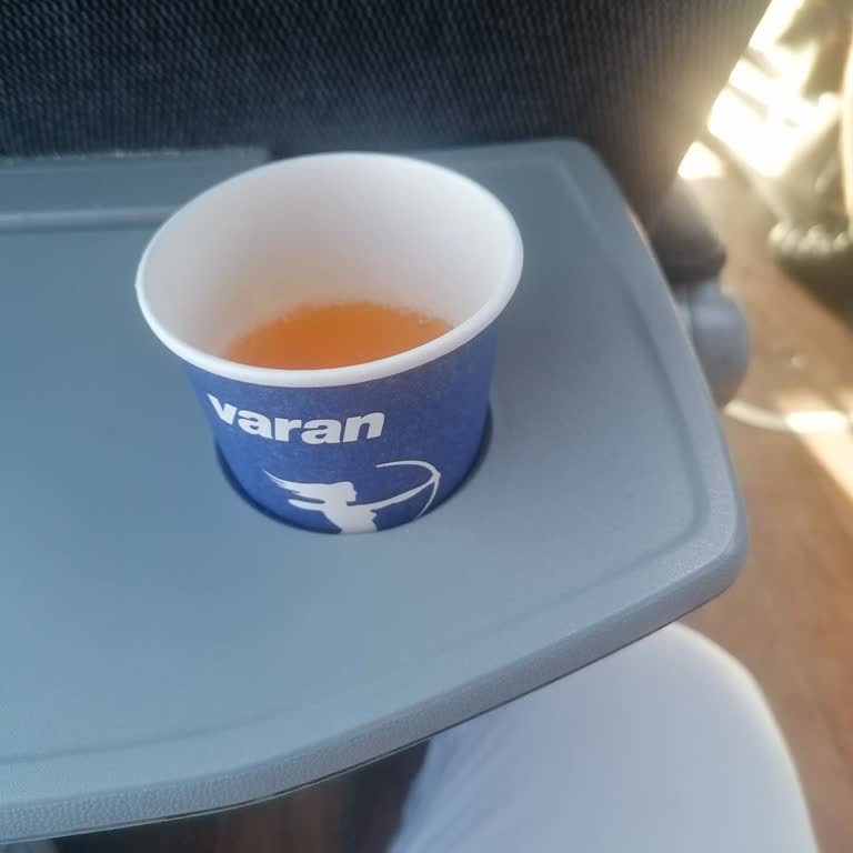 Varan Turizm'de Kruvasan Sınırlaması