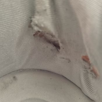 Derimod Kalitesiz Spor Ayakkabı