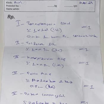 İstanbul Üniversitesi Veterinerlik Fakültesi Yanlış Tedavi Yüzünden Kedim Öldü