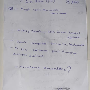 İstanbul Üniversitesi Veterinerlik Fakültesi Yanlış Tedavi Yüzünden Kedim Öldü