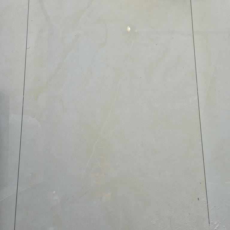 Samsung S24+ Isınma Sorunu Sebebiyle Verimli Kullanılamıyor!