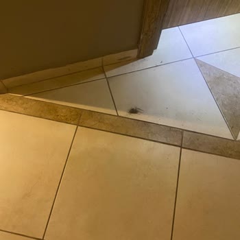 Miarosa Kemer Beach Hayal Kırıklığı Ve Sağlık Sorunlarıyla Dolan Tatil