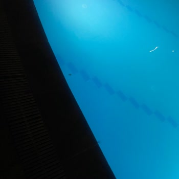 Miarosa Kemer Beach Hayal Kırıklığı Ve Sağlık Sorunlarıyla Dolan Tatil