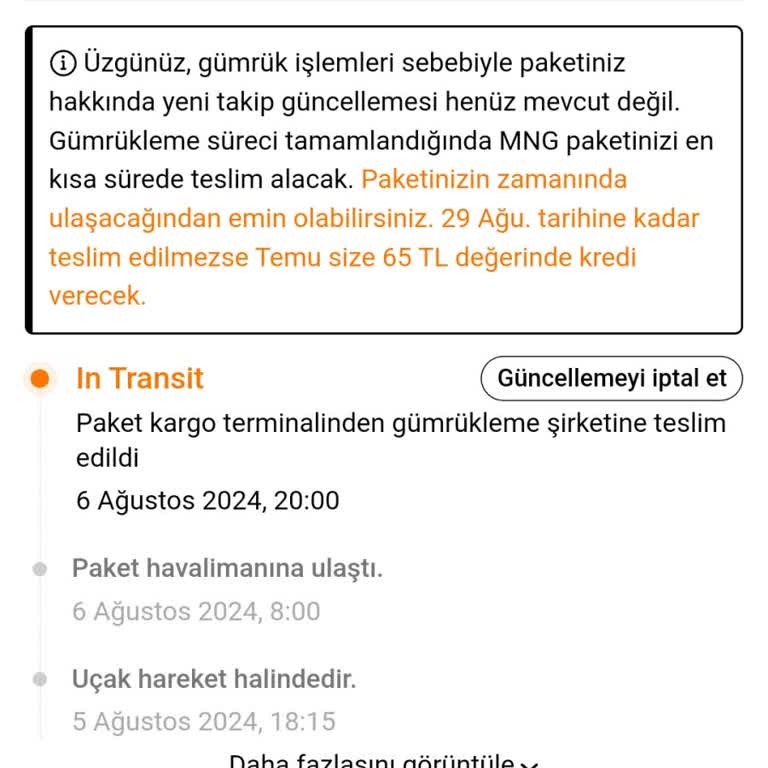 Temu Siparişlerim Gümrükte Kayboldu