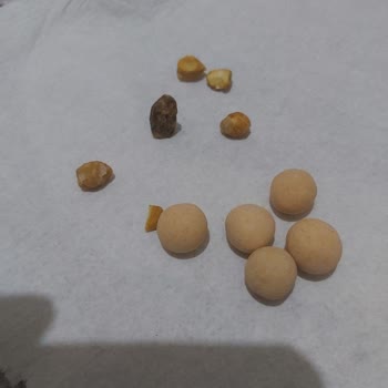 Tatbak Kaplamalı Leblebiden Taş Çıkması