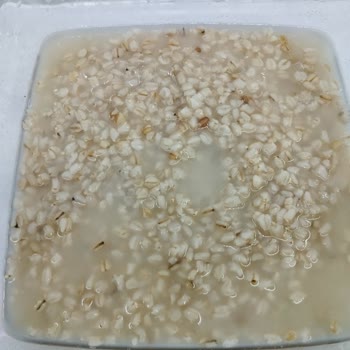 A101 Aldığım Ürün Kurtlu