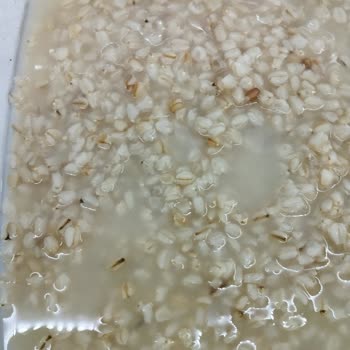 A101 Aldığım Ürün Kurtlu