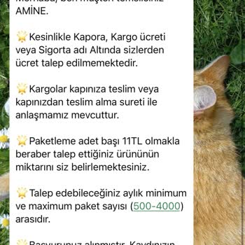 İŞKUR LCW Evde Paketleme İşinde Yaşanan Sorunlar Ve Mağduriyet