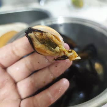 Metro Market Temizlenmemiş Midyeler.