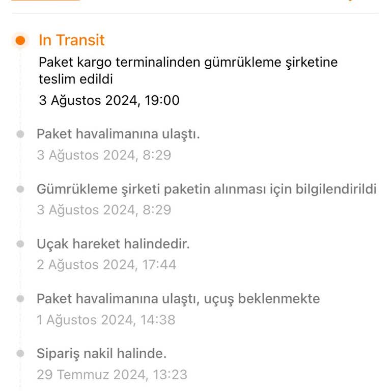 Temu Kargom Günlerdir Gümrükte Bekliyor
