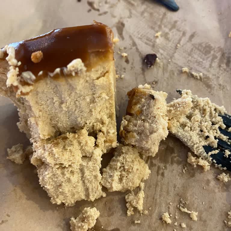 Espressolab Lotus Cheesecake'ten Çıkan Sinek