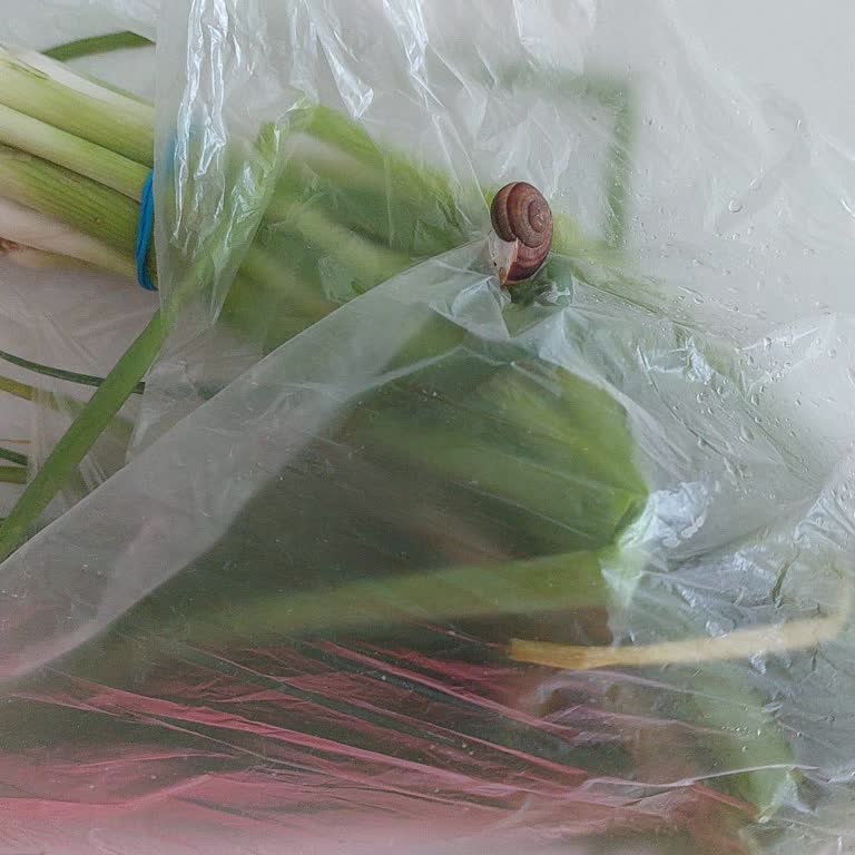 Migros Tema İstanbul 2'nin İçler Acısı Hali