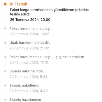 MNG Kargo, Temu Gümrük Sorunu!