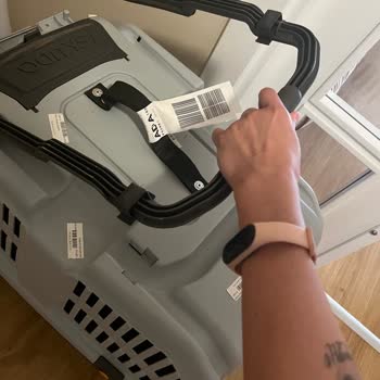 Pegasus Evcil Hayvanımı Dikkatsizce Taşıyan Havayolu Şirketi