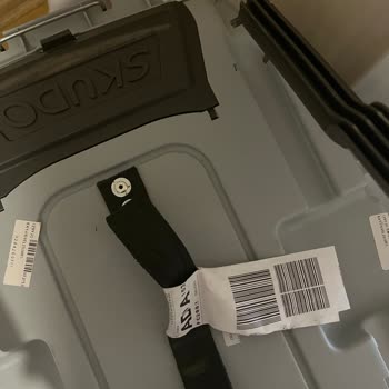 Pegasus Evcil Hayvanımı Dikkatsizce Taşıyan Havayolu Şirketi