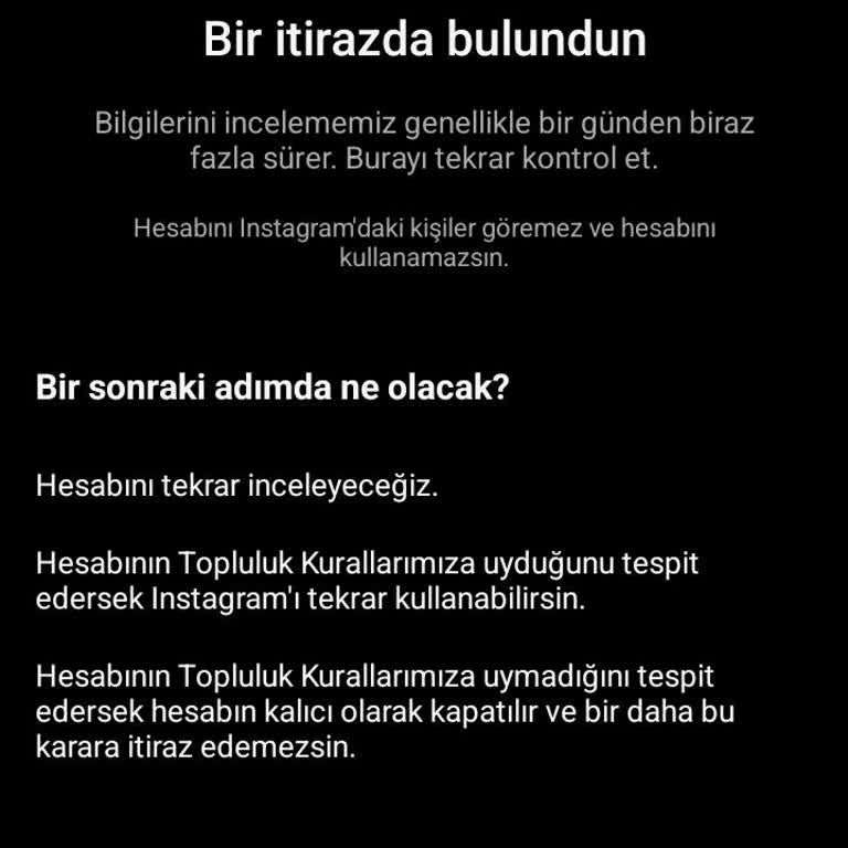 Meta Instagram Artık Hesabımı Sal