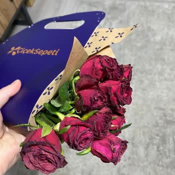 Çiçek Sepeti Yazıklar Olsun