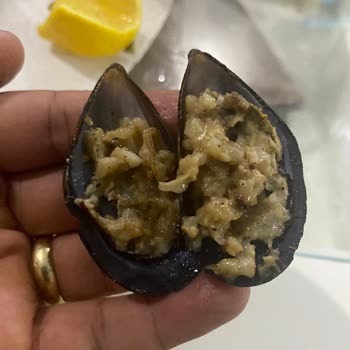 Gala Kokoreç Midyeler Çoğu Bozuk Çıktı Limonlar Bile Küflüydü
