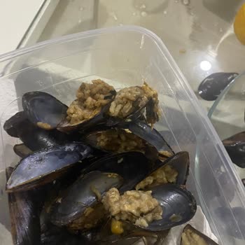 Gala Kokoreç Midyeler Çoğu Bozuk Çıktı Limonlar Bile Küflüydü