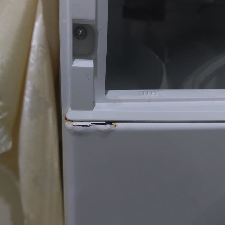 Bosch Çamaşır Makinesi Paslanma Sorunu